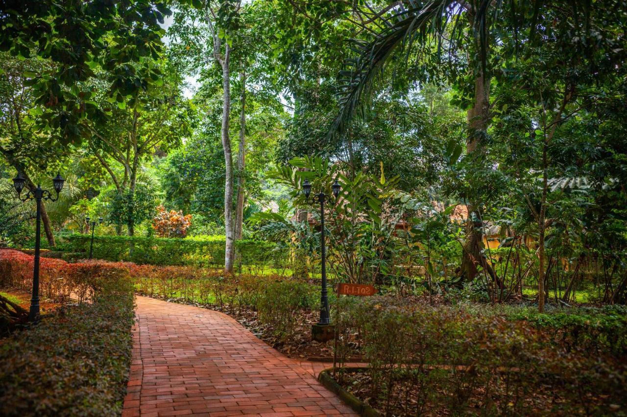 Brovad Sands Lodge Kalangala Eksteriør bilde